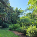 Uncovering Upcoming Events in Tampa, Florida